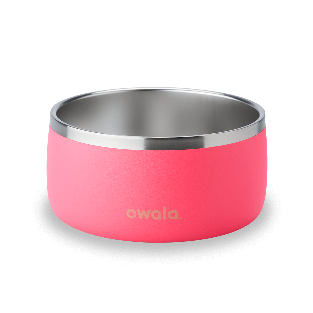 Pet Bowl O3T55R USIQCM