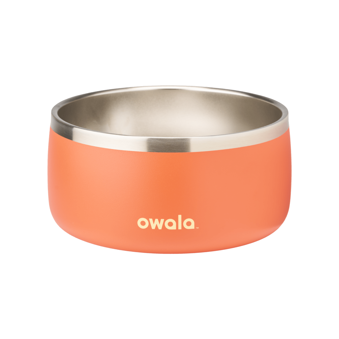 Pet Bowl O3T55R USIQCM