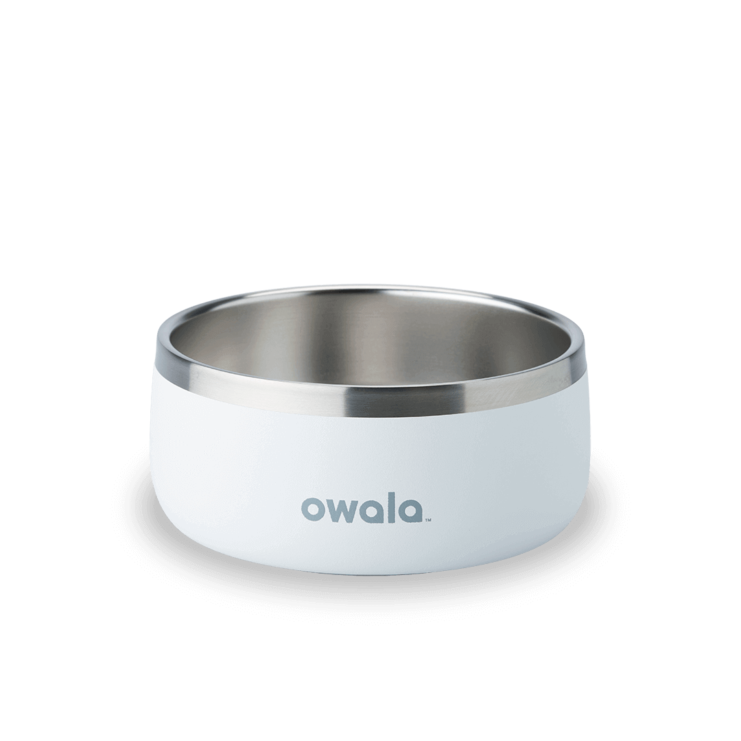 Pet Bowl O3T55R USIQCM