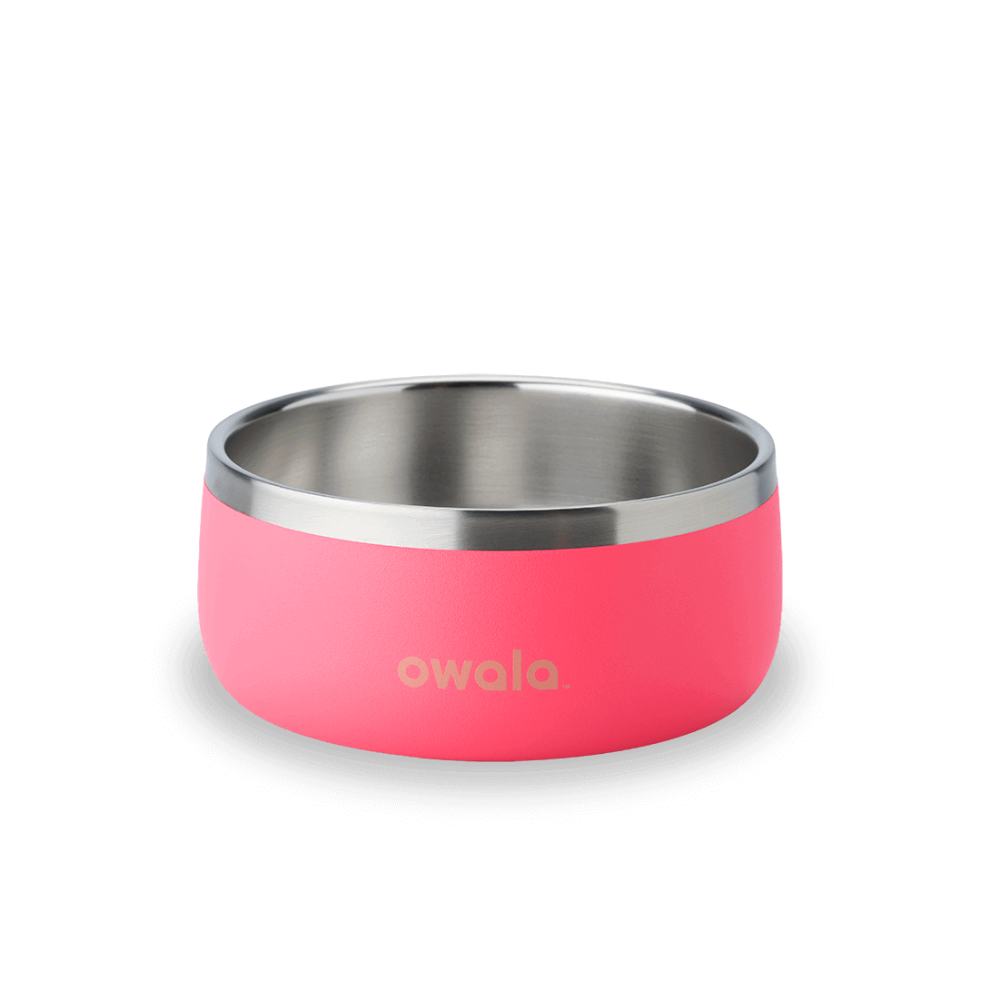 Pet Bowl O3T55R USIQCM
