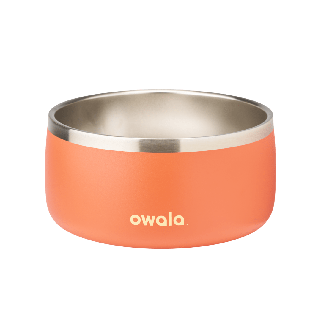 Pet Bowl O3T55R USIQCM